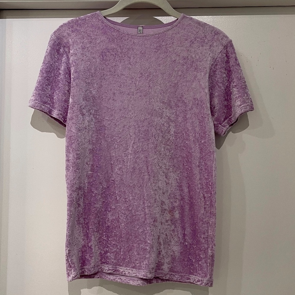 Velvet Short Sleeve Top